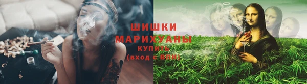 стаф Беломорск