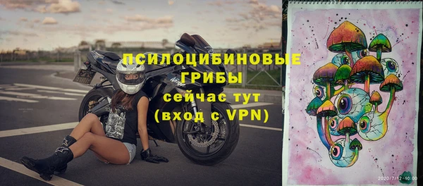 марки lsd Белокуриха