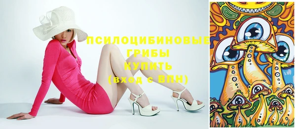 марки lsd Белокуриха