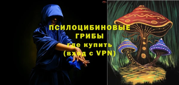 стаф Беломорск