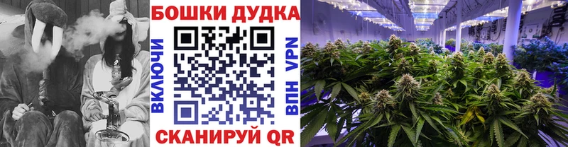 Бошки Шишки семена  маркетплейс клад  Власиха  ОМГ ОМГ зеркало 